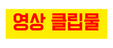 영상 클립물